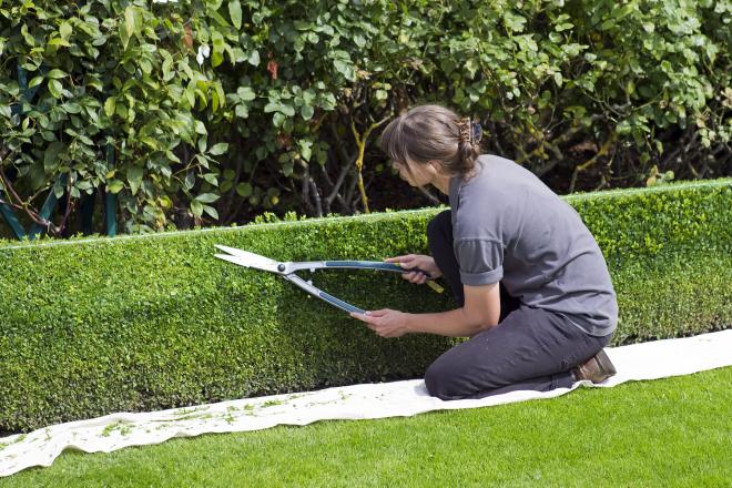 Terceirização de Serviços de Jardinagem